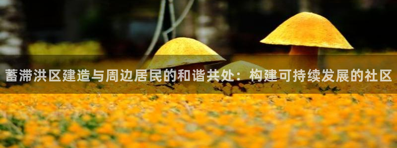 先锋娱乐热点：蓄滞洪区建造与周边居民的和谐共处：构建可持续发展的社区