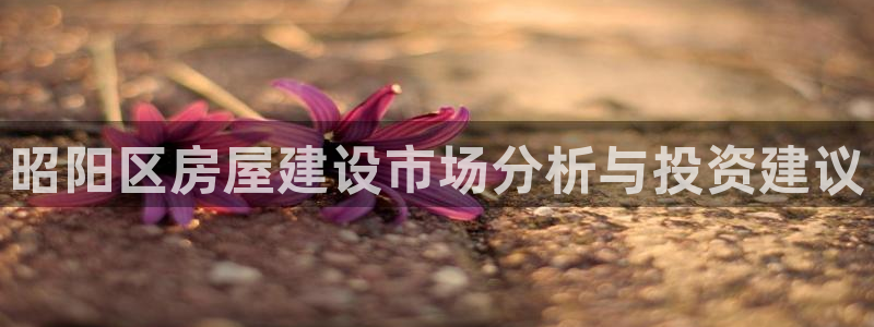 先锋娱乐垫付金额：昭阳区房屋建设市场分析与投资建议