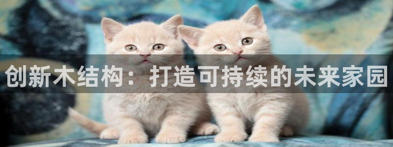 先锋娱乐官：创新木结构：打造可持续的未来家园