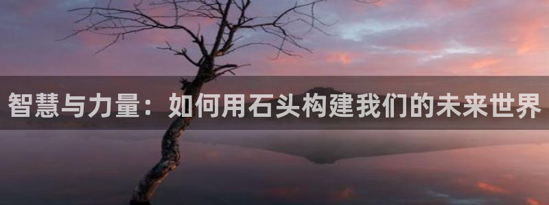 先锋队娱乐：智慧与力量：如何用石头构建我们的未来世界