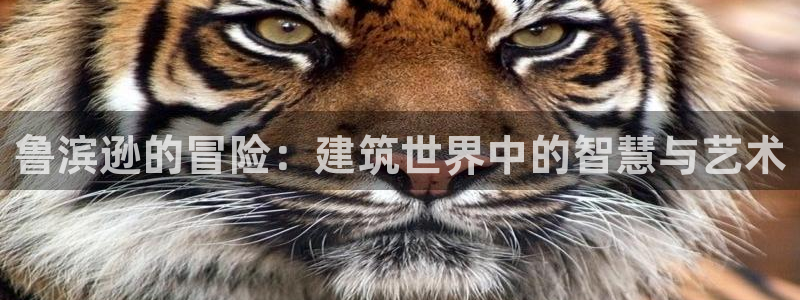 先锋娱乐公司：鲁滨逊的冒险：建筑世界中的智慧与艺术