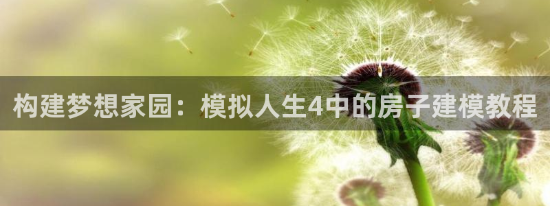 先锋娱乐转进去钱：构建梦想家园：模拟人生4中的房子建模教程