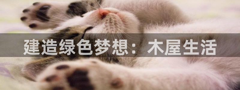 先锋娱乐快讯：建造绿色梦想：木屋生活