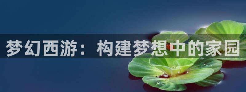 网上炸金花先锋娱乐：梦幻西游：构建梦想中的家园