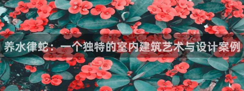 娱乐急先锋全集下载：养水律蛇：一个独特的室内建筑艺术与设计案例