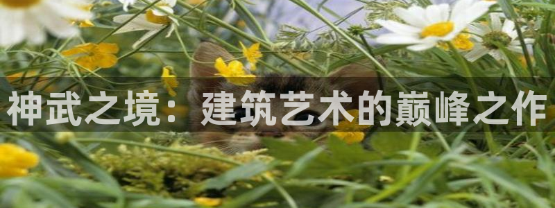 先锋娱乐公司正规吗吗：神武之境：建筑艺术的巅峰之作