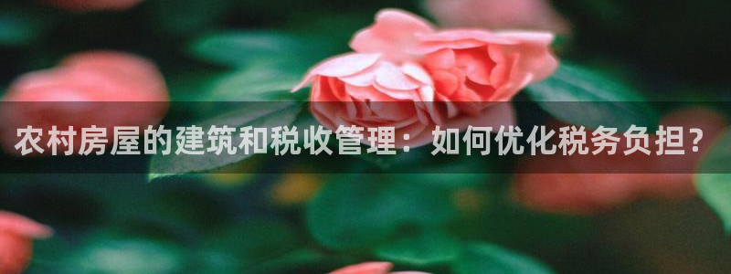 先锋方舟娱乐集团：农村房屋的建筑和税收管理：如何优化税务负担？