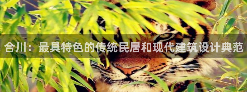 先锋娱乐登录：合川：最具特色的传统民居和现代建筑设计典范