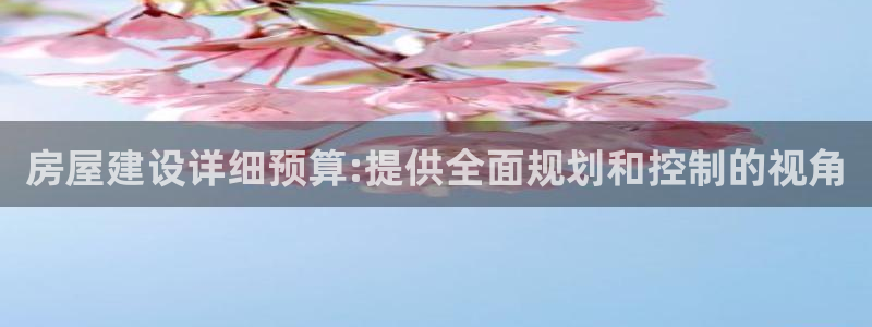 先锋娱乐汇：房屋建设详细预算:提供全面规划和控制的视角