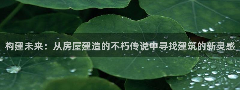 先锋娱乐棋牌有挂吗：构建未来：从房屋建造的不朽传说中寻找建筑的新灵感