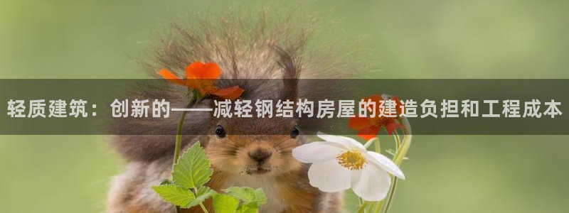 先锋娱乐大厅有挂吗：轻质建筑：创新的——减轻钢结构房屋的建造负担和工程成本