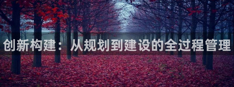 先锋游戏娱乐：创新构建：从规划到建设的全过程管理