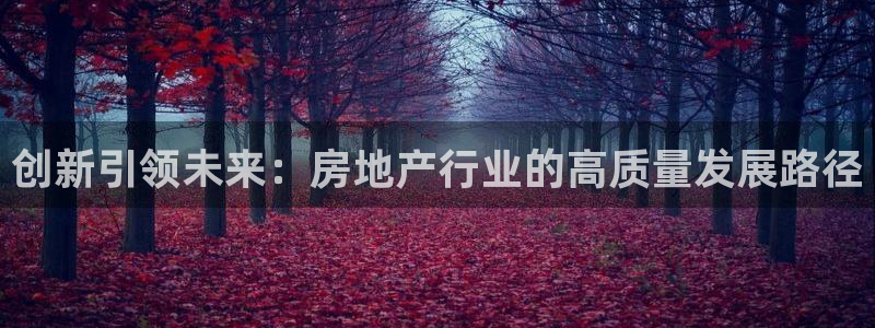 先锋娱乐挂：创新引领未来：房地产行业的高质量发展路径