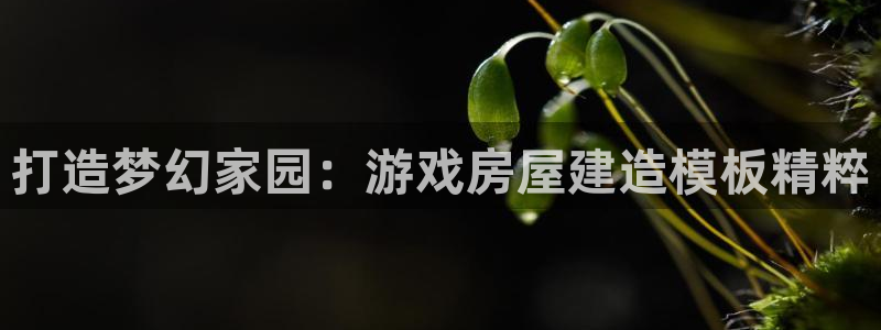 先锋娱乐体育管理集团：打造梦幻家园：游戏房屋建造模板精粹
