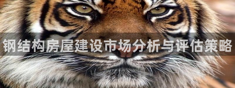 先锋娱乐麻将：钢结构房屋建设市场分析与评估策略