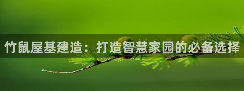 先锋娱乐：竹鼠屋基建造：打造智慧家园的必备选择