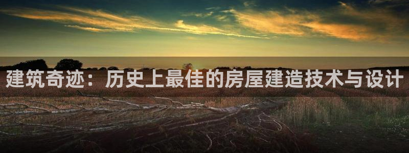 先锋电子旗下先锋娱乐：建筑奇迹：历史上最佳的房屋建造技术与设计