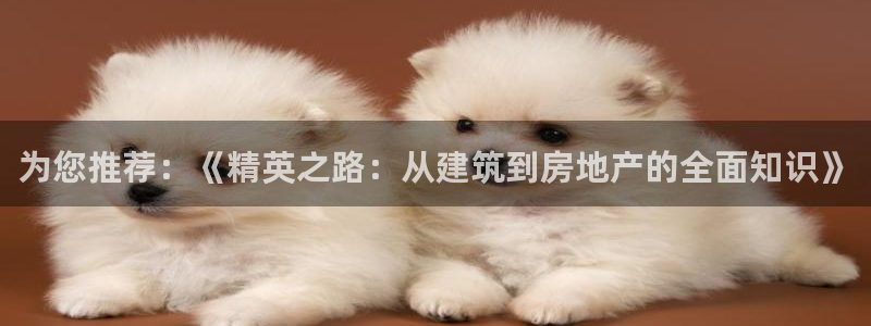 先锋娱乐公司正规吗吗：为您推荐：《精英之路：从建筑到房地产的全面知识》