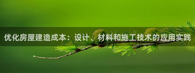 先锋 娱乐：优化房屋建造成本：设计、材料和施工技术的应用实践