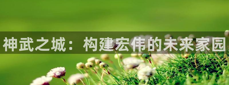 先锋娱乐资讯：神武之城：构建宏伟的未来家园