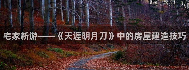 先锋娱乐游戏上分视频：宅家新游——《天涯明月刀》中的房屋建造技巧
