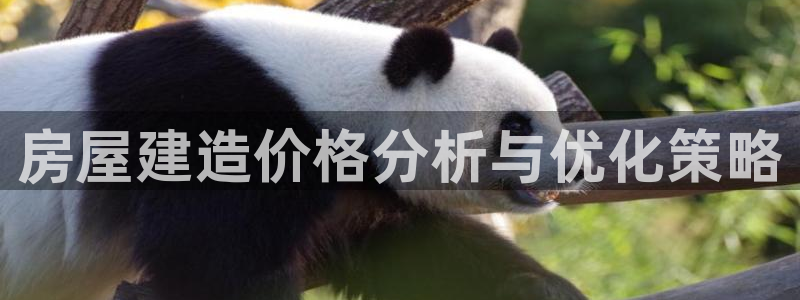先锋银河娱乐：房屋建造价格分析与优化策略