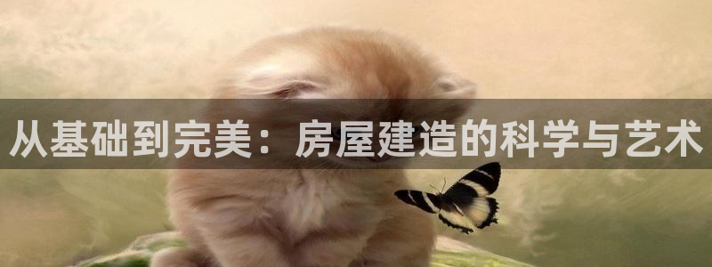 先锋娱乐登录：从基础到完美：房屋建造的科学与艺术