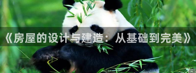 先锋娱乐大厅斗牛：《房屋的设计与建造：从基础到完美》