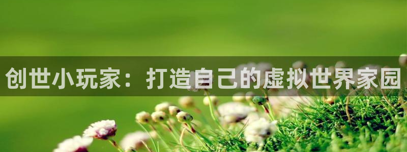 先锋娱乐集团：创世小玩家：打造自己的虚拟世界家园