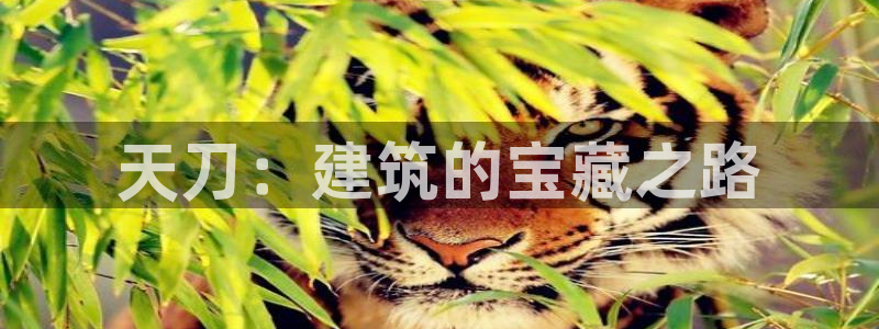 时代先锋娱乐：天刀：建筑的宝藏之路