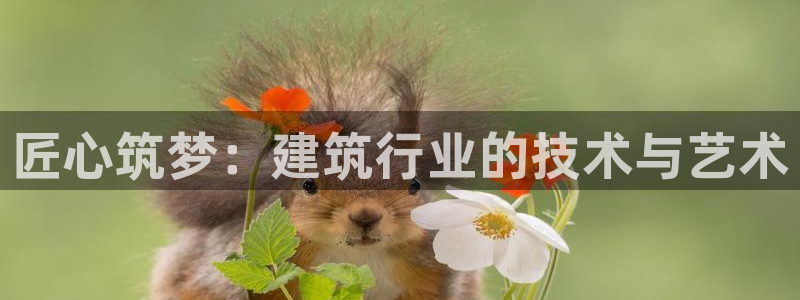 先锋娱乐游戏软件：匠心筑梦：建筑行业的技术与艺术