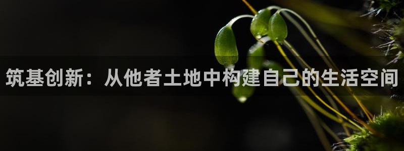 先锋娱乐登录：筑基创新：从他者土地中构建自己的生活空间