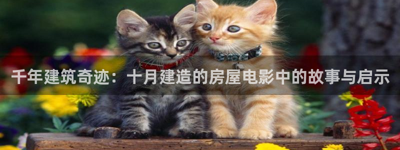 先锋娱乐炸金花：千年建筑奇迹：十月建造的房屋电影中的故事与启示