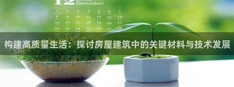 先锋娱乐大厅有挂吗：构建高质量生活：探讨房屋建筑中的关键材料与技术发展