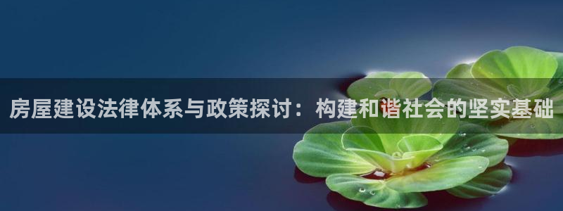 娱乐先锋捕鱼客服：房屋建设法律体系与政策探讨：构建和谐社会的坚实基础