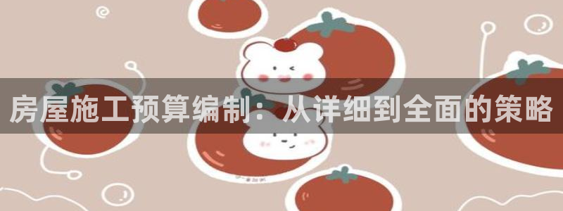 先锋娱乐集团公司：房屋施工预算编制：从详细到全面的策略
