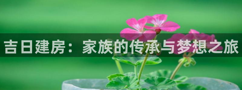 先锋娱乐快讯：吉日建房：家族的传承与梦想之旅