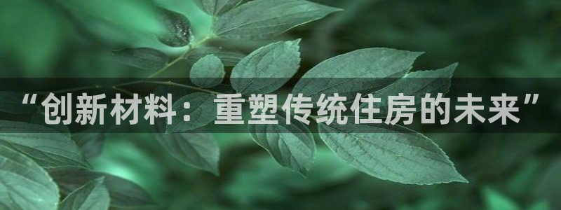 先锋娱乐电话：“创新材料：重塑传统住房的未来”