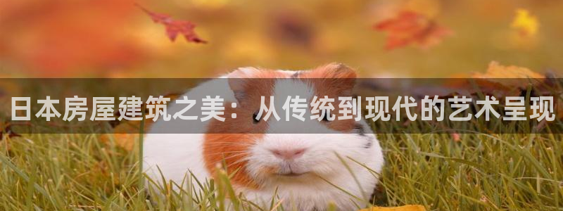 先锋娱乐剪辑：日本房屋建筑之美：从传统到现代的艺术呈现