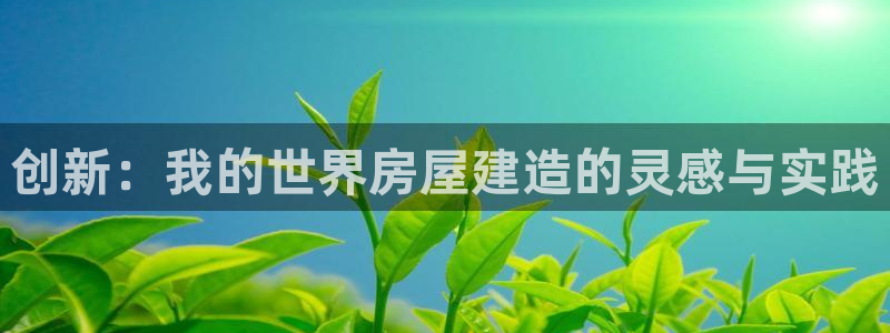 先锋娱乐邀请码多少位啊：创新：我的世界房屋建造的灵感与实践