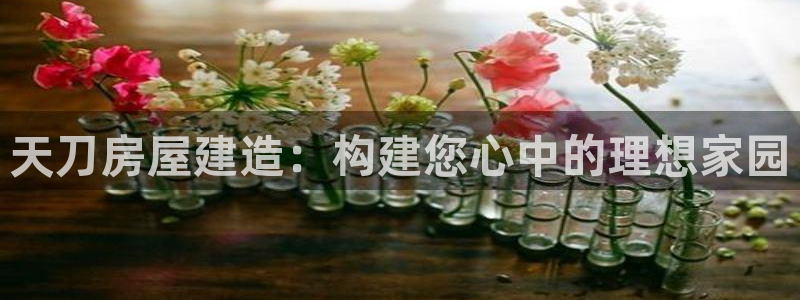 先锋澳门新娱乐：天刀房屋建造：构建您心中的理想家园