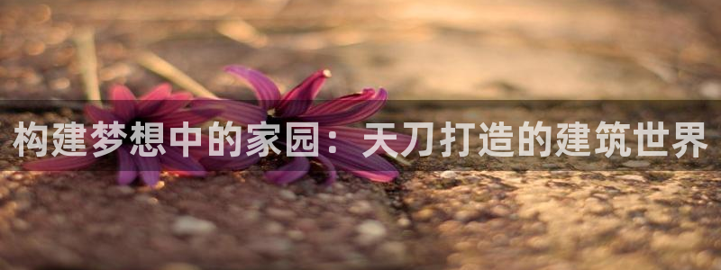 时代先锋娱乐：构建梦想中的家园：天刀打造的建筑世界