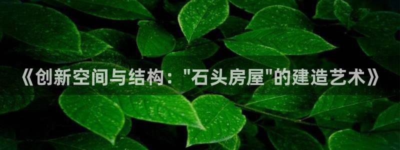先锋娱乐热点：《创新空间与结构：\