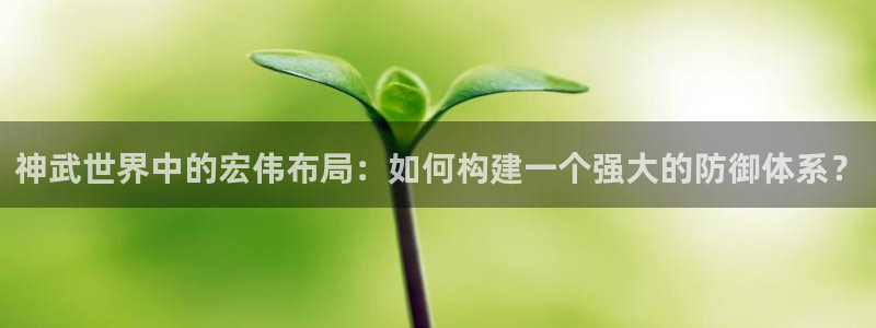 先锋娱乐大厅斗牛：神武世界中的宏伟布局：如何构建一个强大的防御体系？