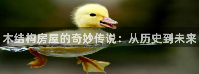 先锋娱乐游戏软件：木结构房屋的奇妙传说：从历史到未来