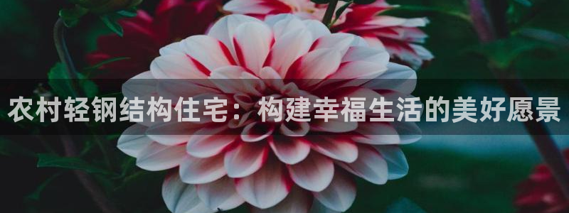 先锋银河娱乐：农村轻钢结构住宅：构建幸福生活的美好愿景
