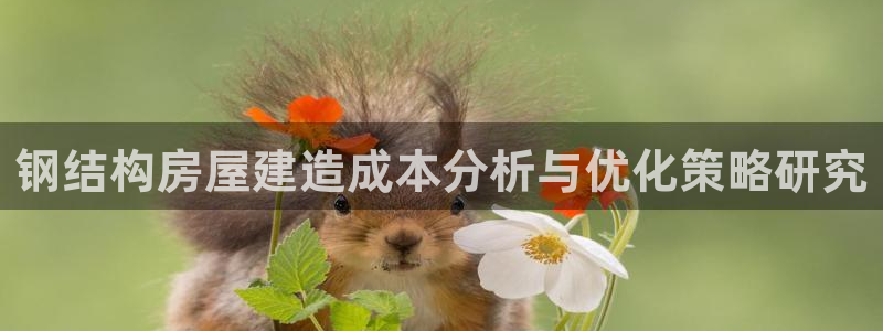 亚洲先锋娱乐招股：钢结构房屋建造成本分析与优化策略研究