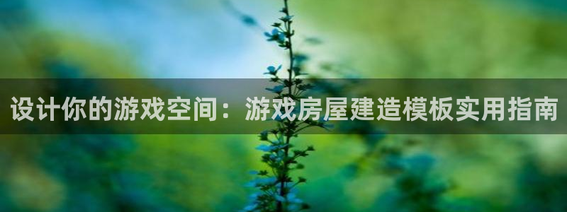 先锋娱乐大厅有挂吗：设计你的游戏空间：游戏房屋建造模板实用指南