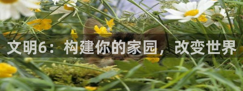 先锋娱乐转进去钱：文明6：构建你的家园，改变世界