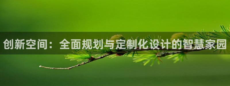 先锋方舟娱乐集团：创新空间：全面规划与定制化设计的智慧家园